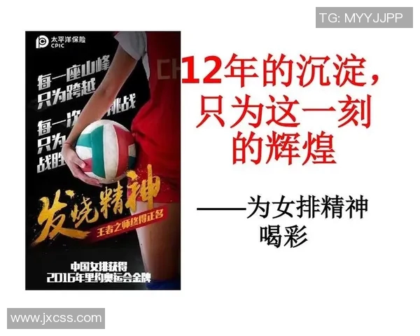 杭州排球队心理素质创新高排球运动员心理素质排名分析